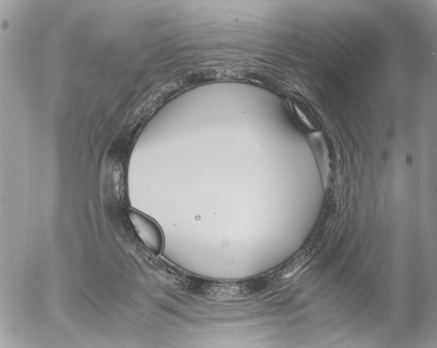 X0000053070123200508081230