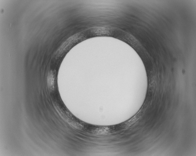 X0000053070124200508081229