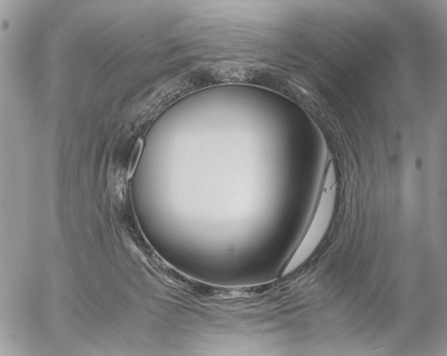 X0000053070125200508081229