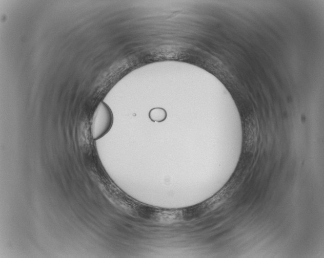 X0000053070126200508081229