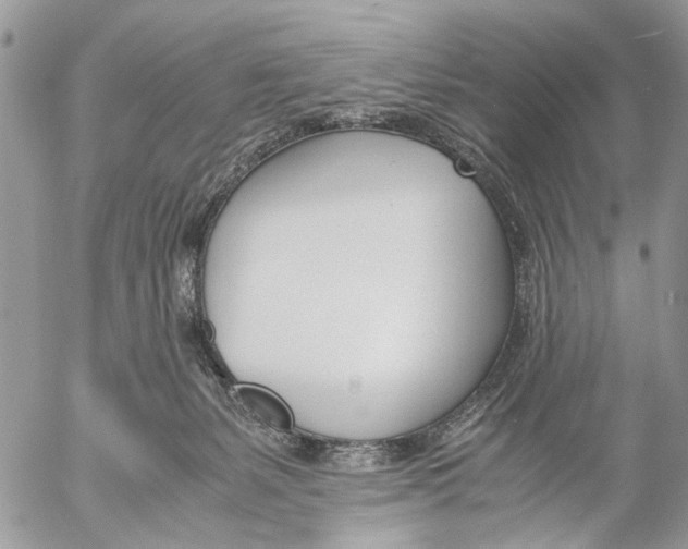 X0000053070127200508081229