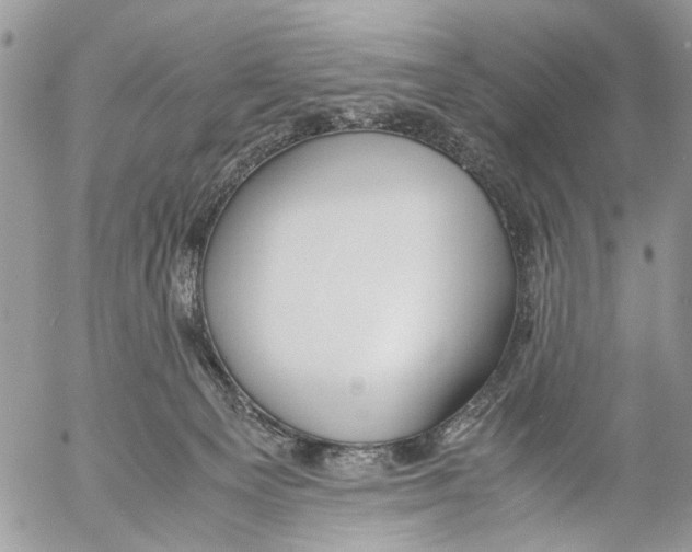 X0000053070129200508081229