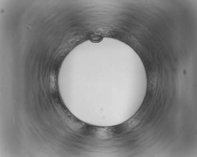 X0000053070130200508081229