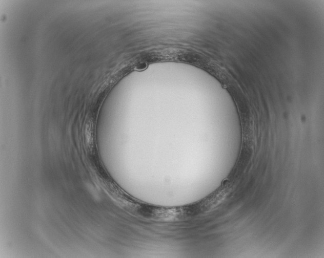 X0000053070131200508081229