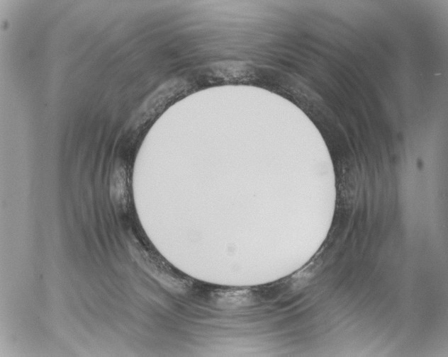 X0000053070132200508081229