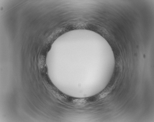 X0000053070133200508081229