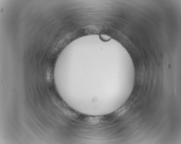 X0000053070134200508081229