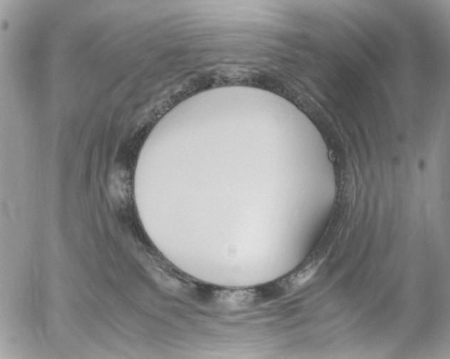 X0000053070135200508081229