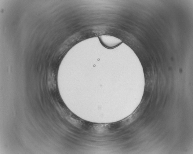 X0000053070136200508081229