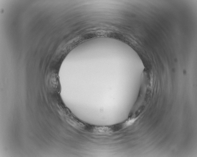 X0000053070137200508081229