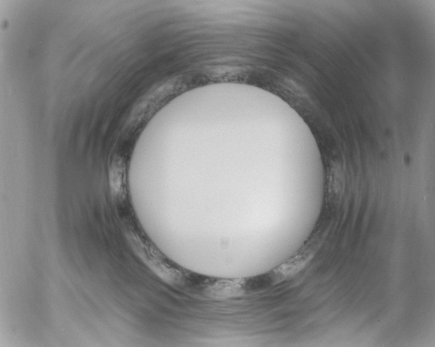 X0000053070138200508081229