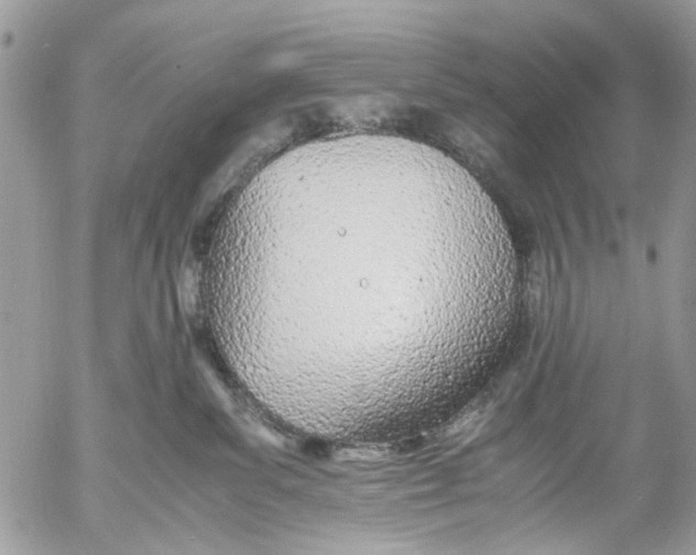 X0000053070139200508081229