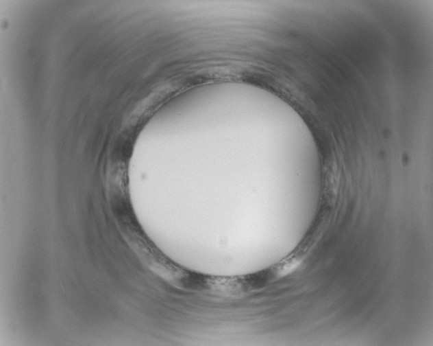 X0000053070141200508081229