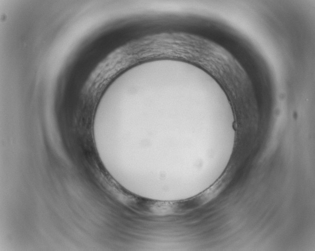 X0000053070142200508081229