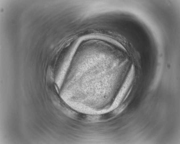 X0000053070143200508081229