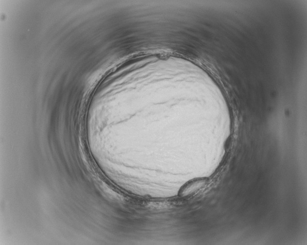 X0000053070145200508081228