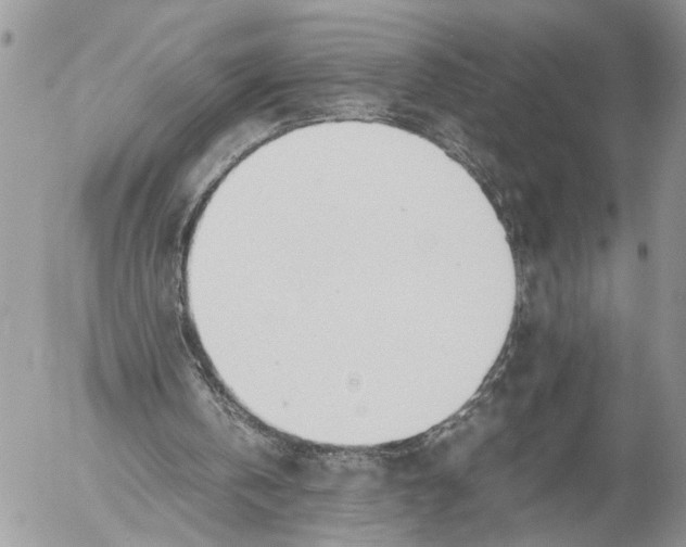 X0000053070146200508081228