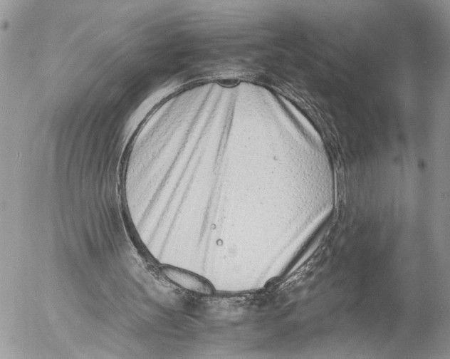 X0000053070147200508081228