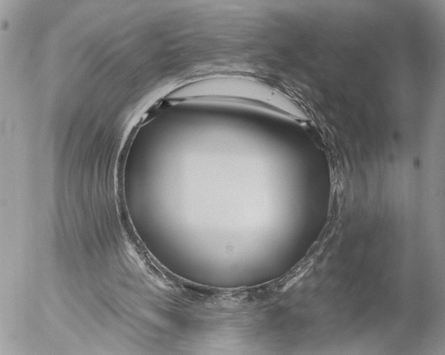 X0000053070148200508081228