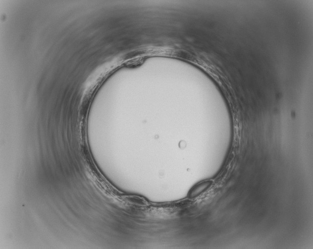 X0000053070149200508081228