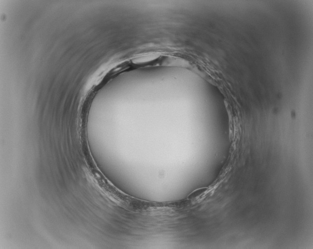 X0000053070150200508081228