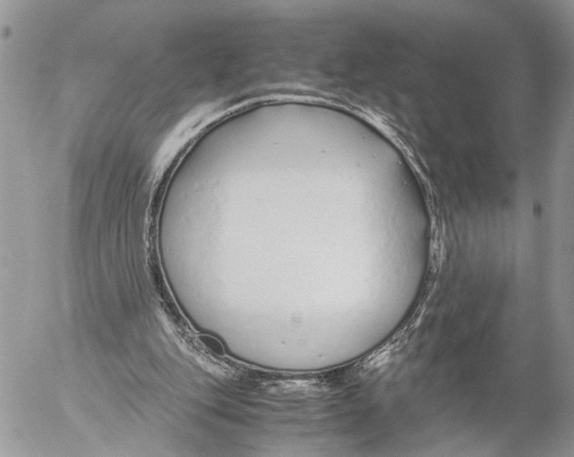 X0000053070151200508081228