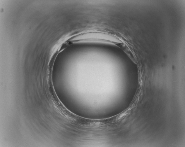 X0000053070152200508081228