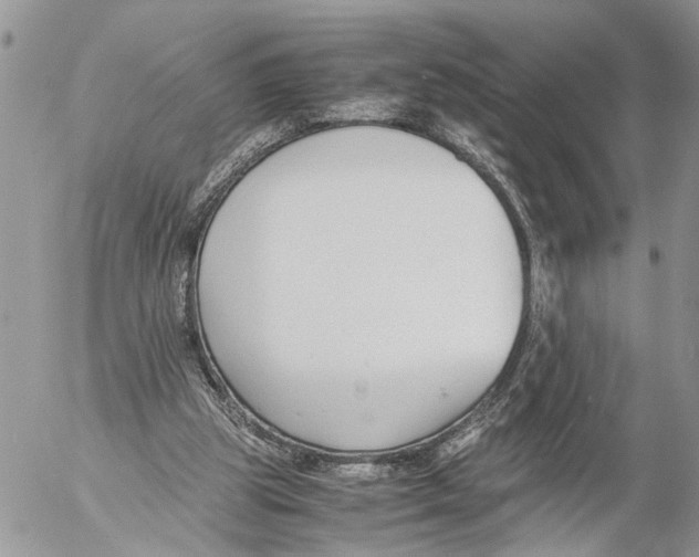 X0000053070153200508081228