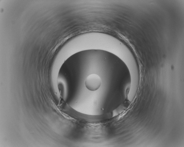 X0000053070154200508081229