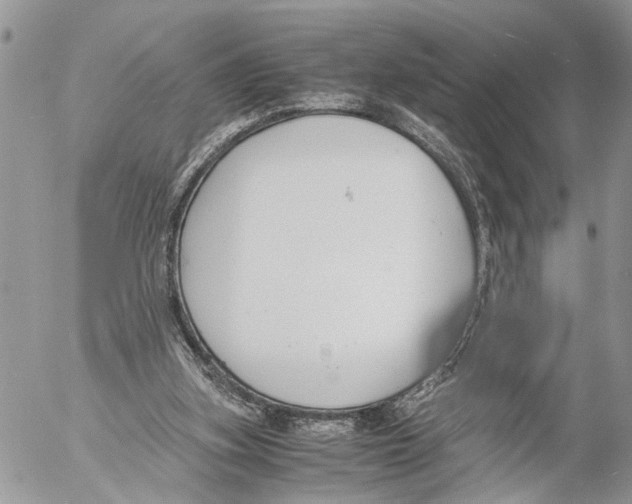 X0000053070155200508081229