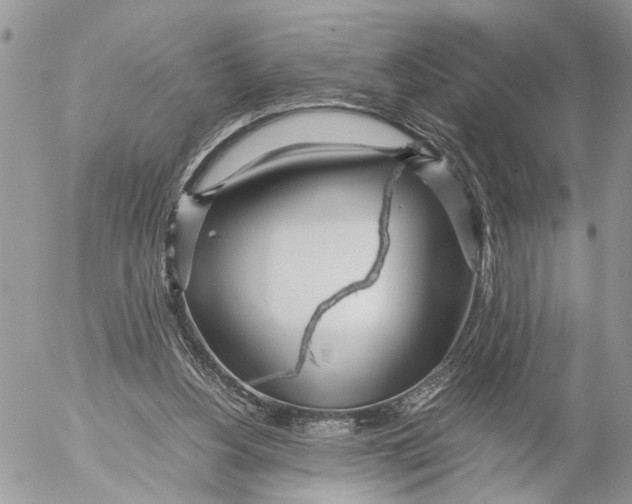 X0000053070156200508081229