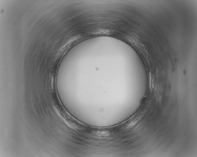 X0000053070157200508081229