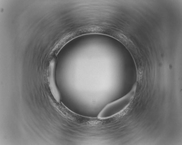 X0000053070158200508081229