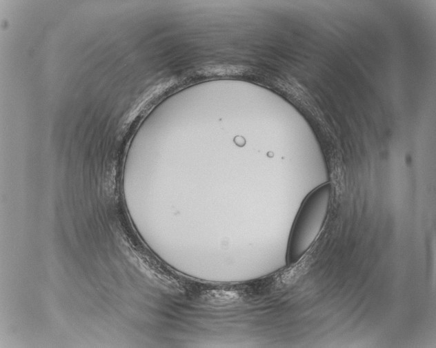 X0000053070159200508081229