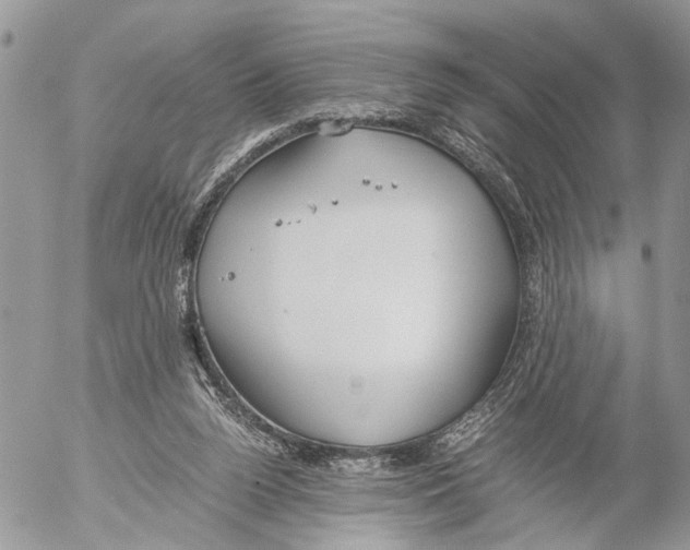 X0000053070160200508081229