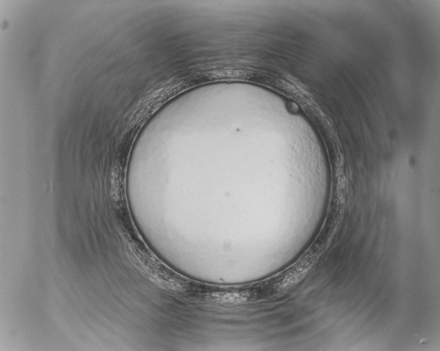 X0000053070161200508081229