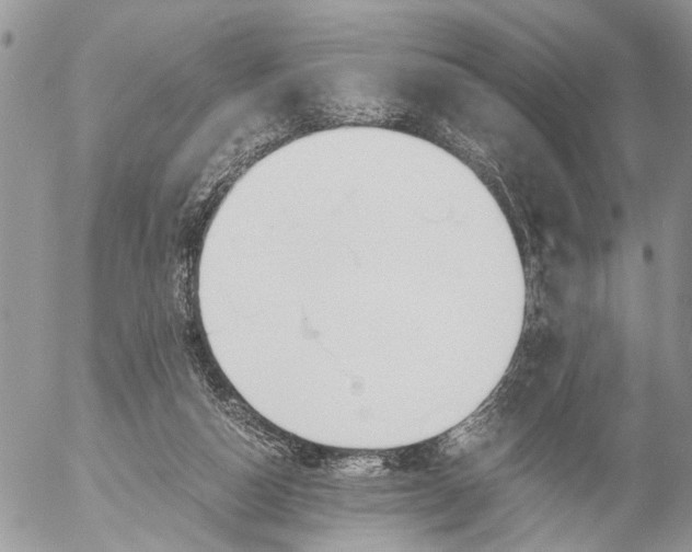 X0000053070162200508081229