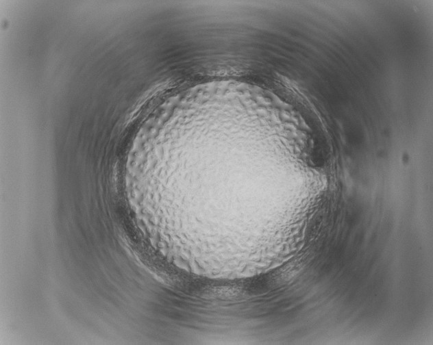 X0000053070163200508081229