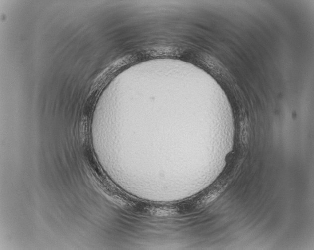 X0000053070165200508081229