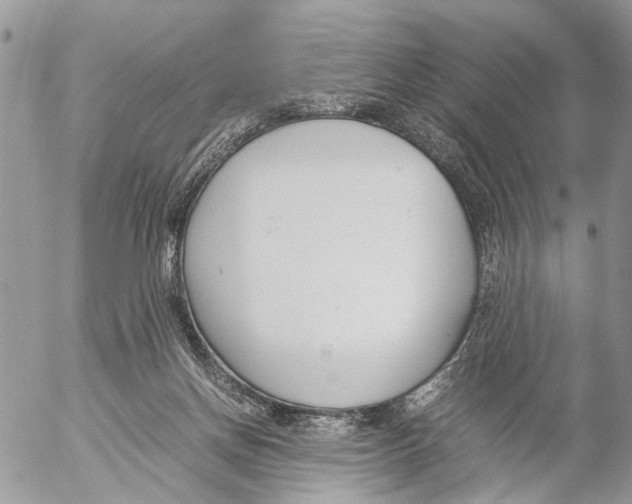 X0000053070166200508081229