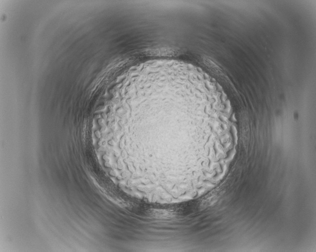 X0000053070167200508081229