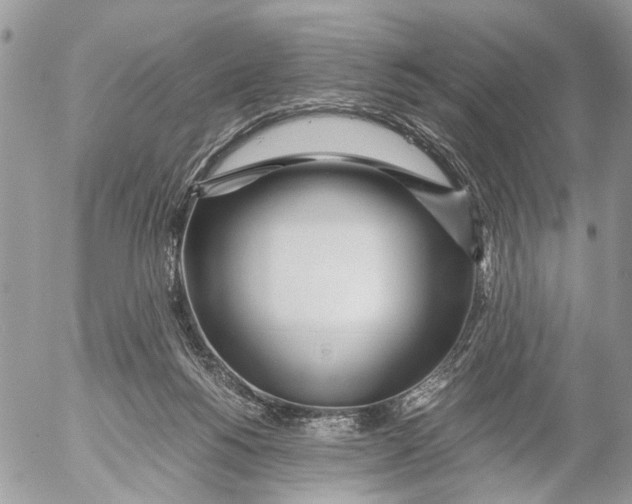 X0000053070168200508081229