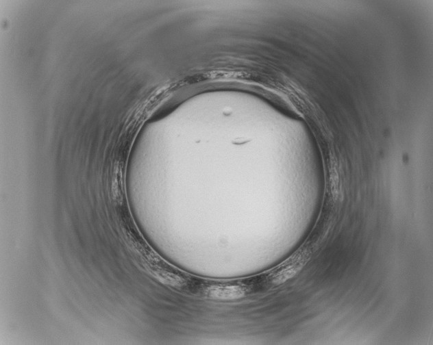 X0000053070169200508081229