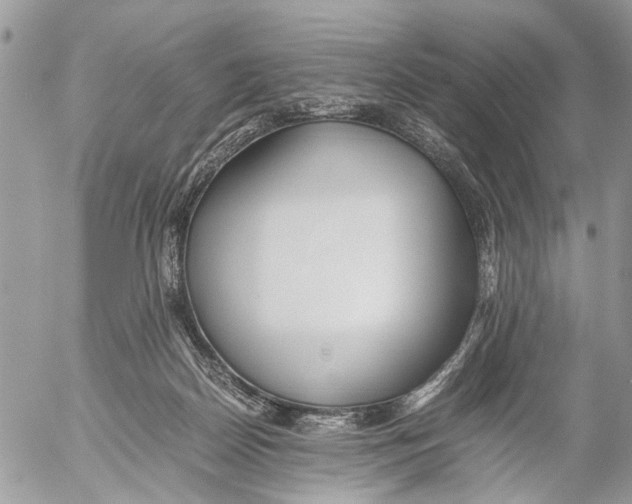 X0000053070170200508081229