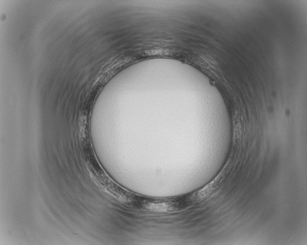 X0000053070171200508081229