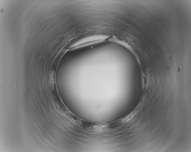 X0000053070172200508081229