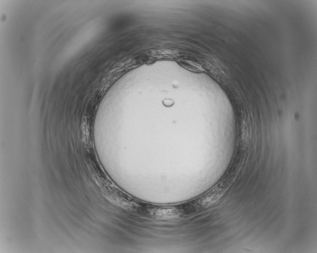 X0000053070173200508081229