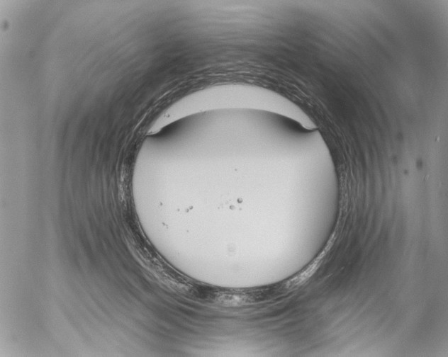 X0000053070174200508081229