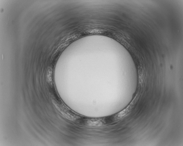 X0000053070175200508081229