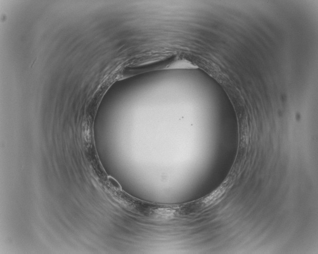 X0000053070176200508081229